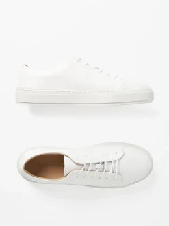 Sampe Sneakers Läder